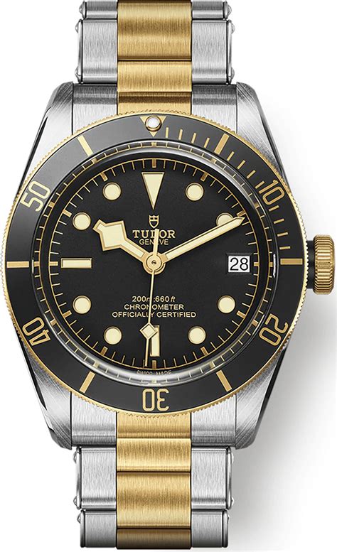 tudor black bay s&g 39|m79733n 0008.